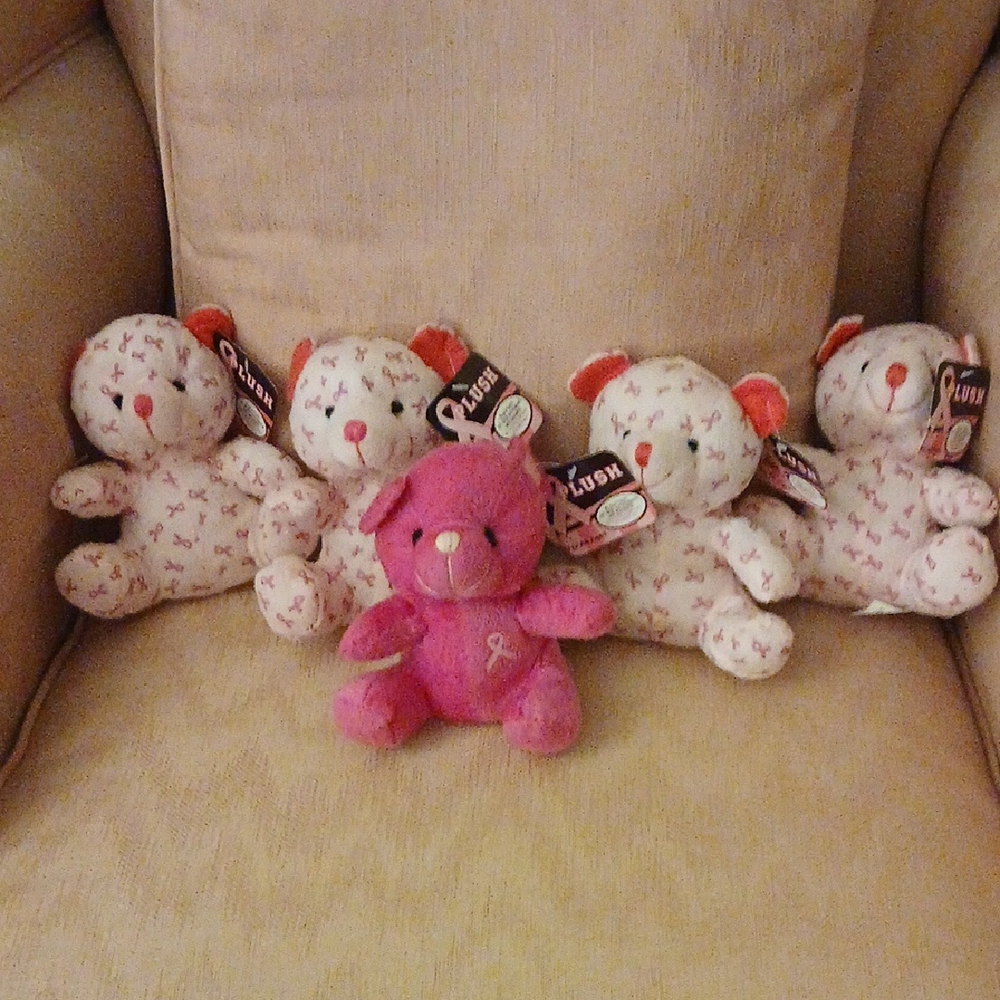 Breast Cancer Awareness Plush Teddy Bear Set - Pink and White